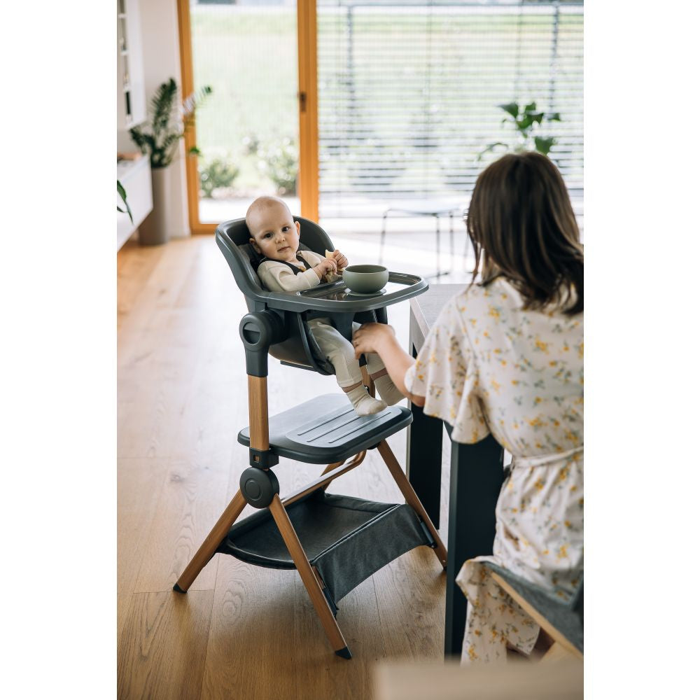 FreeON 2-in-1 Beistellbett und Hochstuhl Nest & Feed, grau