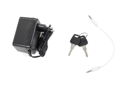 Kinder-Elektroroller Vespa, lizenziert, EVA-Reifen, LED-Scheinwerfer, Koffer, Soundmodul, Stützräder