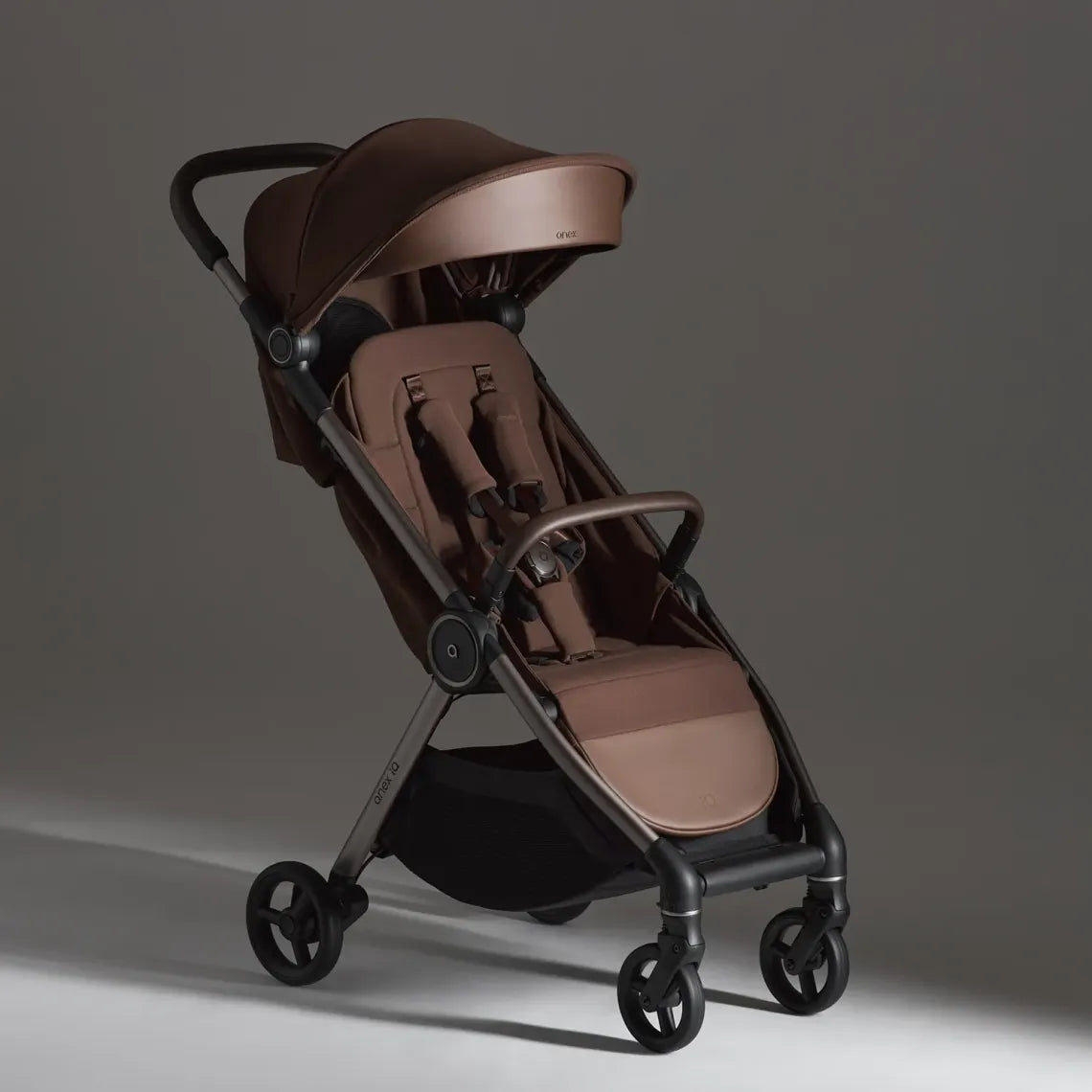 ANEX IQ 