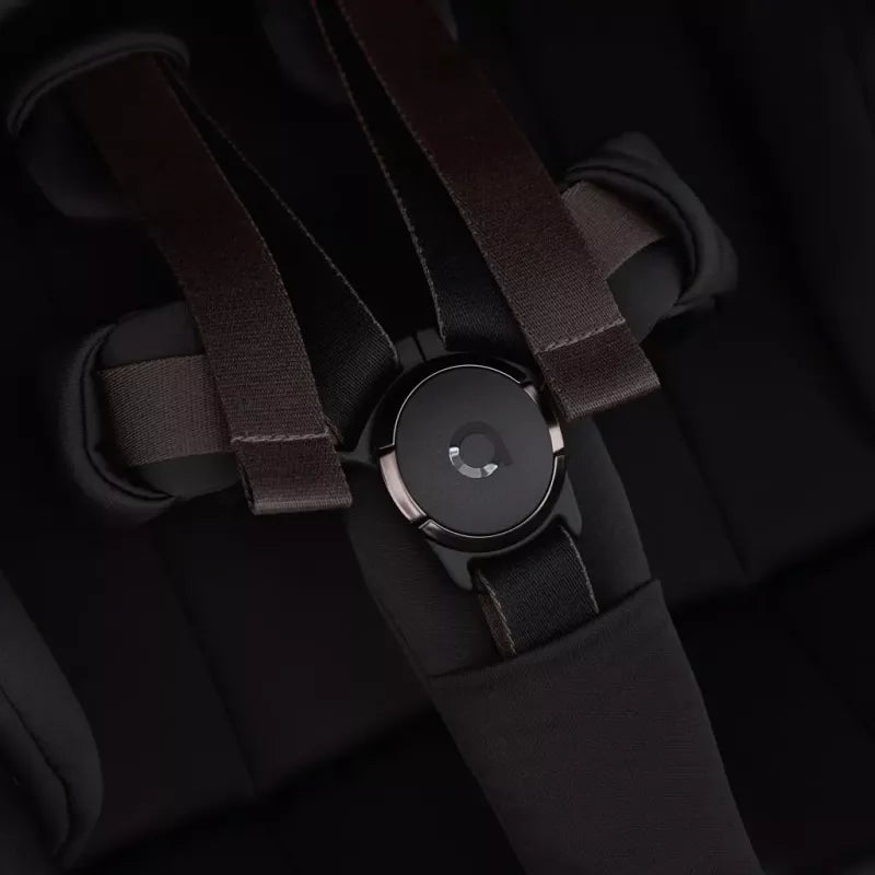 3-in-1 ANEX FLO - „LUNGO“ BUNDLE SET CYBEX CLOUD-T