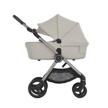 ANEX IQ 