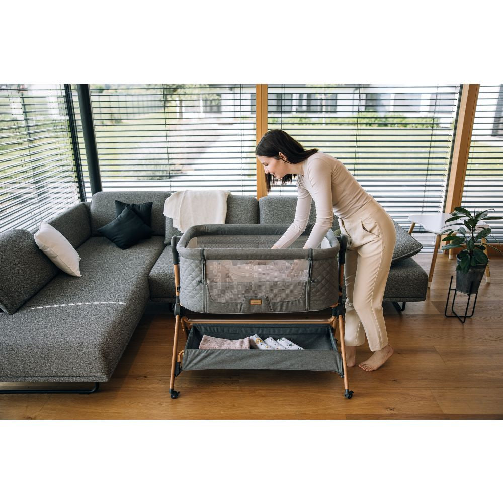FreeON 2-in-1 Beistellbett und Hochstuhl Nest & Feed, grau