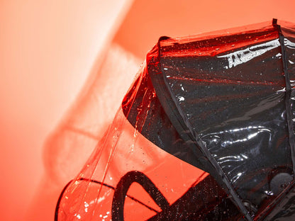 Anex Regenschutz für Air-Z & Air-Z Plus Buggy / Sportkinderwagen